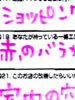 �A���P�[�g