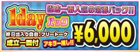 1DAYパック